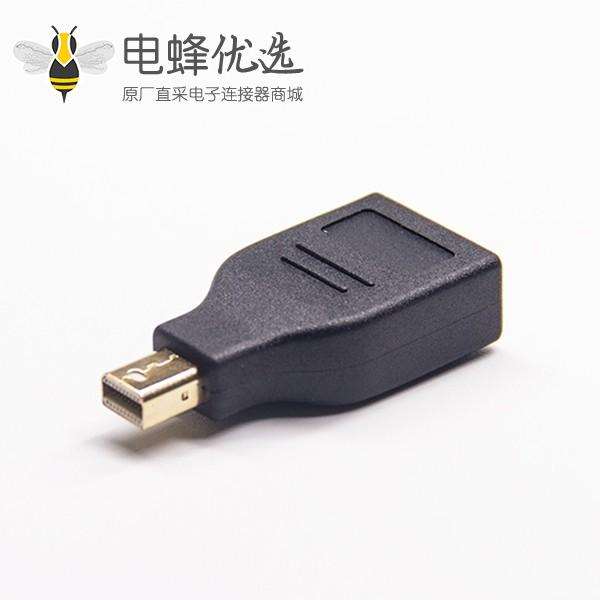 Displayport 母头转迷你 Displayport 公头转接头