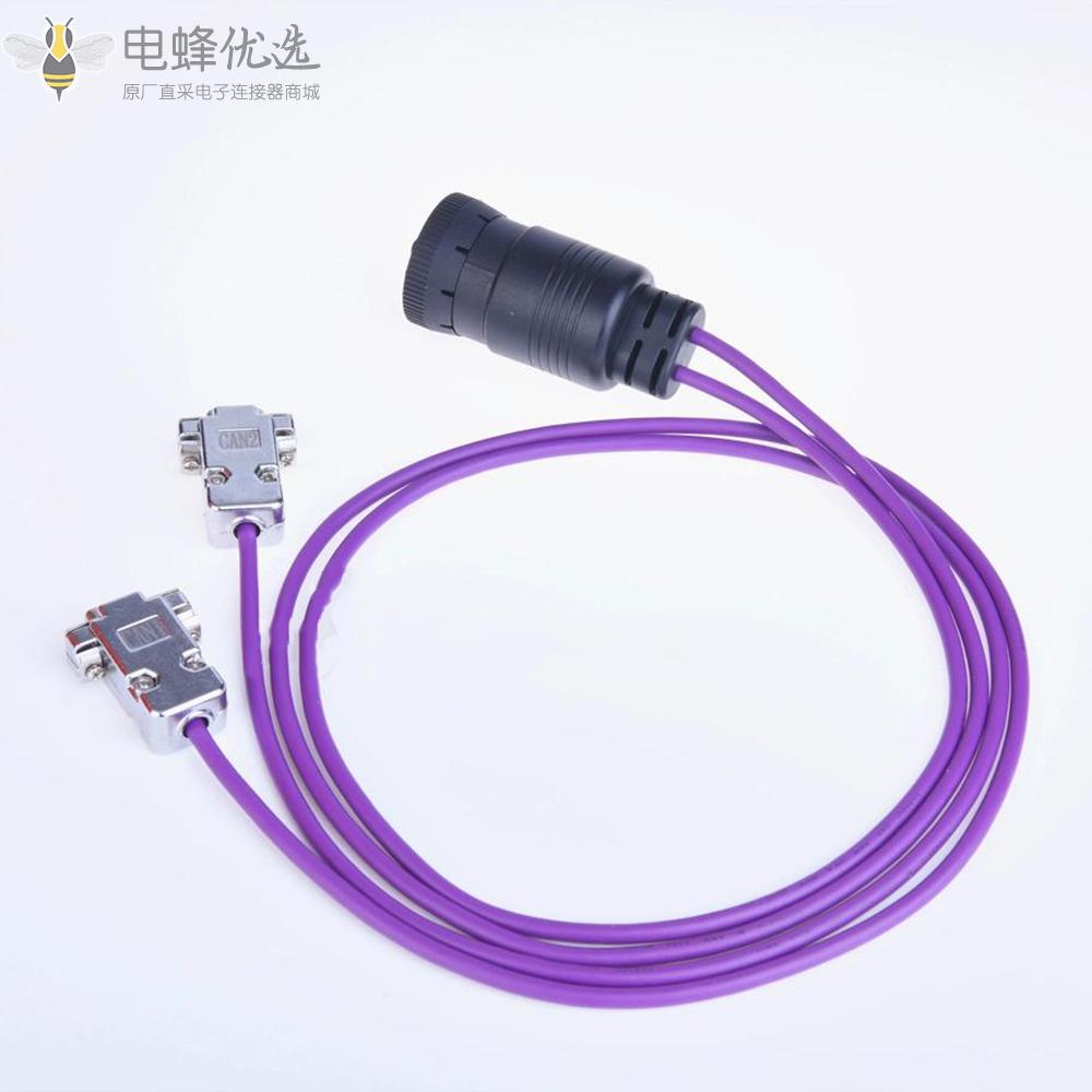 电蜂双D_SUB9芯母转J1939系列9芯公头接1米线材生产厂家直供