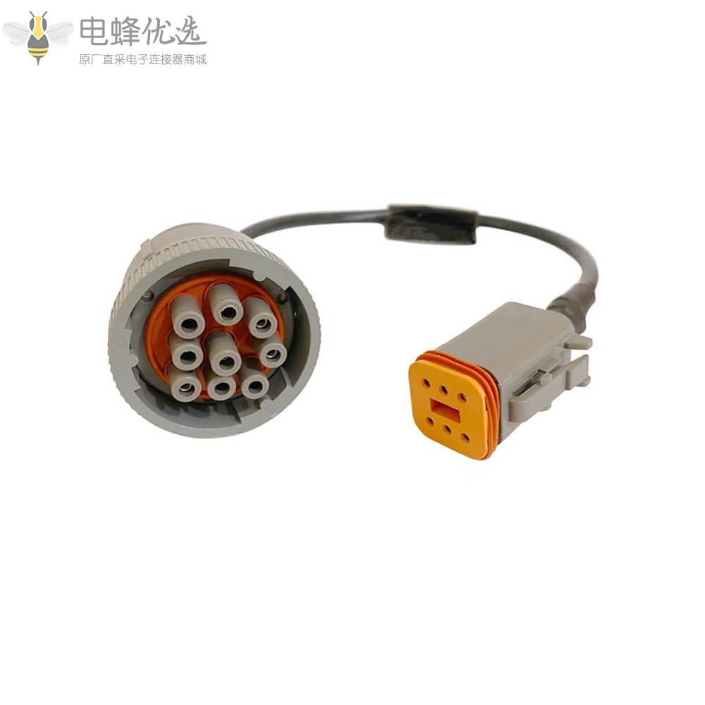 电蜂型DT06_6S母头6芯转1939_9p公头