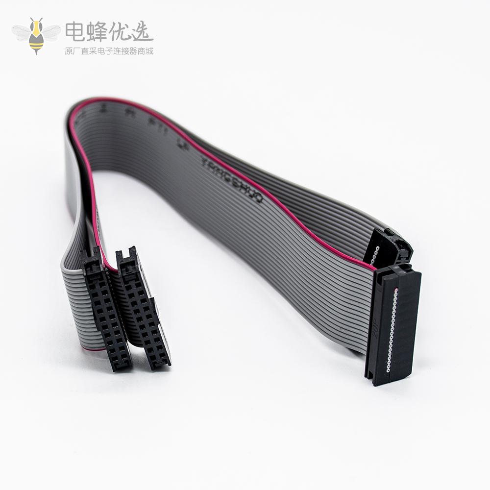 2mm间距,2x10针,20针,20线,IDC扁平带状电缆,长度20CM连接器