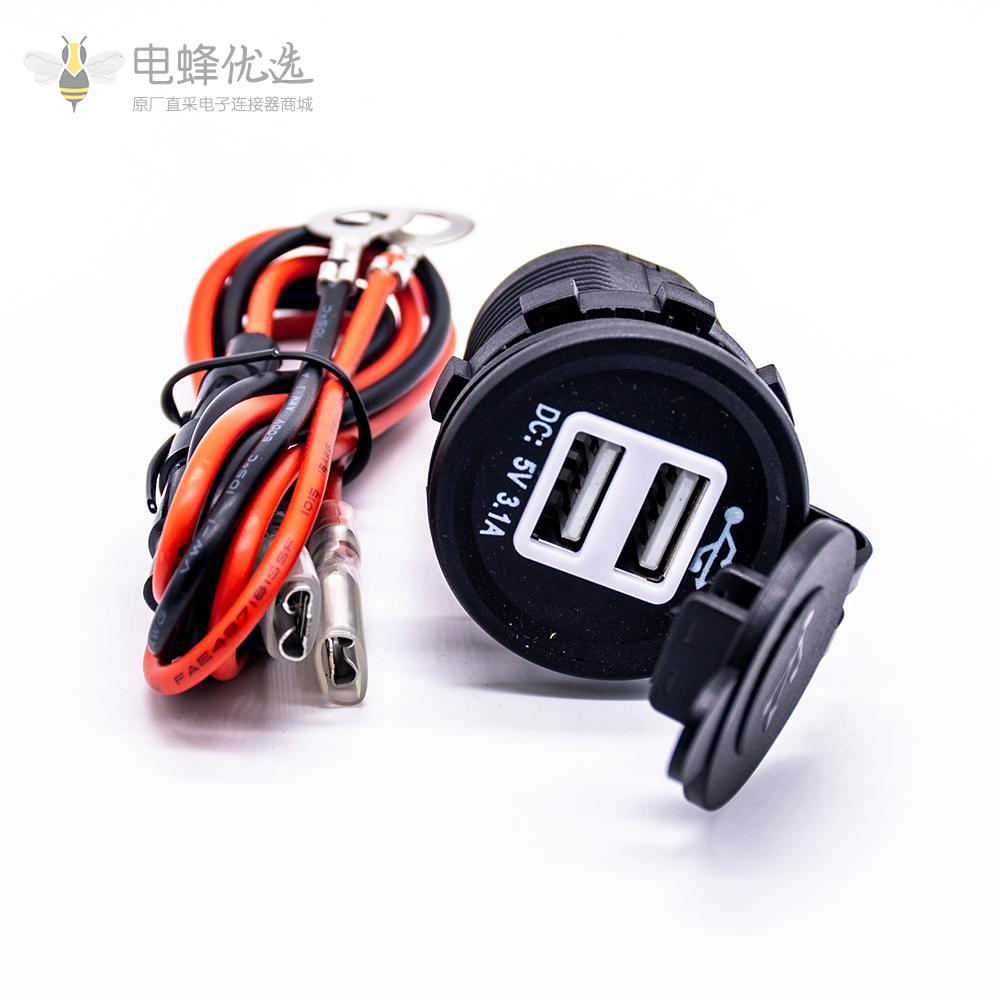 车载双USB充电器5V 3.1A车充